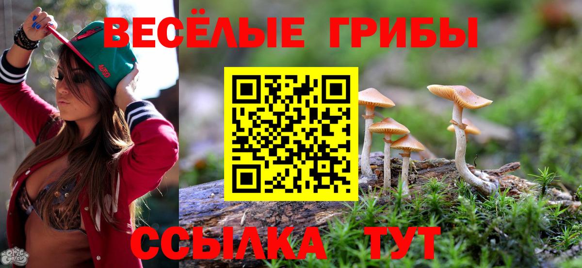 как найти закладки  Вход с VPN  Фурманов  Галлюциногенные грибы ЛСД 